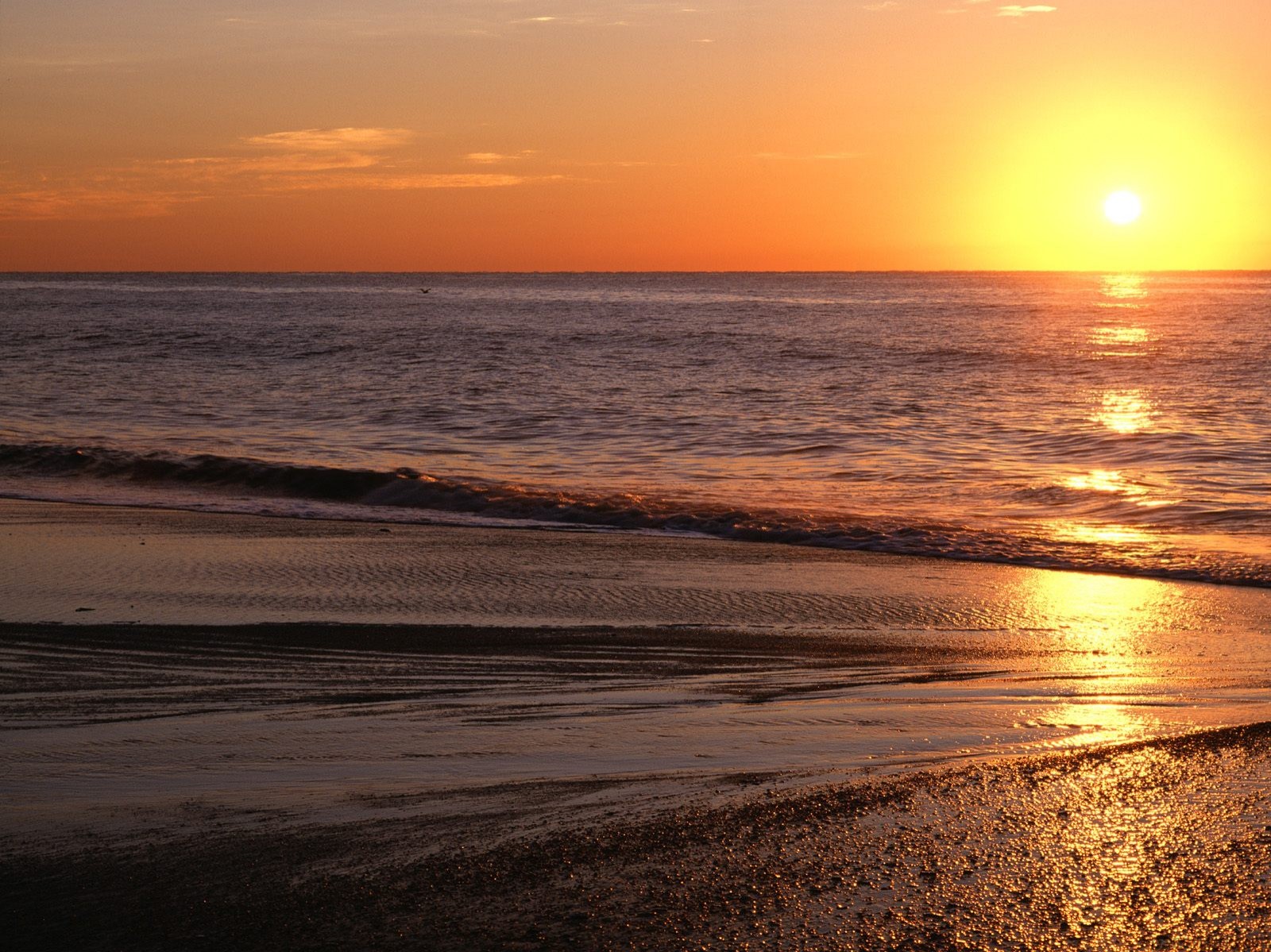 مجموعة خلفيات:شروق الشمس Sunrise Over the Atlantic, Myrtle Beach, South C